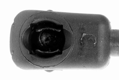GASFEDER KOFFER-/LADERAUM VAICO V250228 1