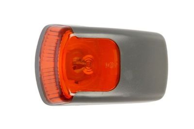 Controlelampje, zijkant Links/Rechts (kleur van het glas: geel, P21W)
