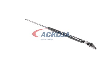 AMORTIZOR PORTBAGAJ ACKOJA A320092 43