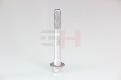 SURUB CAPAT DE AX GH GH391580 18
