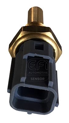 датчик, темература на маслото EFI AUTOMOTIVE 295052