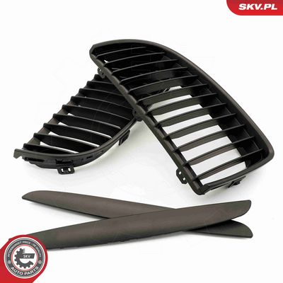 GRILA RADIATOR ESEN SKV 66SKV087 4