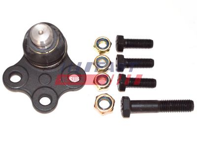 ARTICULATIE PARGHIE COT