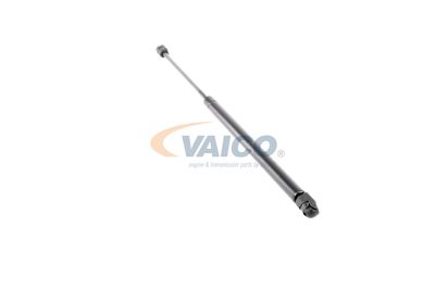 GASFEDER KOFFER-/LADERAUM VAICO V250228 46