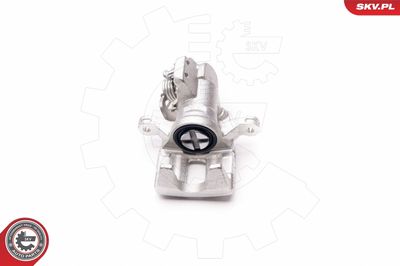 Brake Caliper 34SKV103