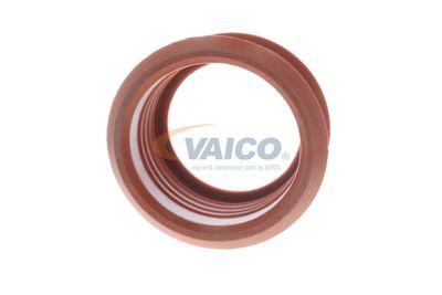 ANSAUGSCHLAUCH LUFTFILTER VAICO V221069 49