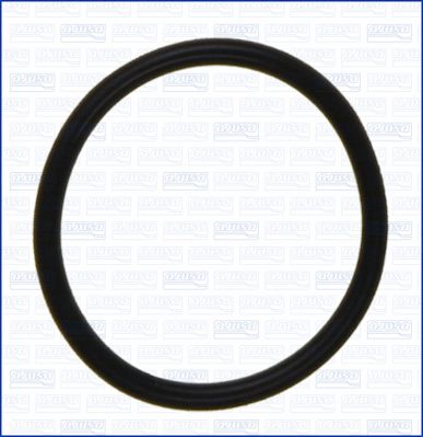 DICHTRING SAUGROHR (ÖLPUMPE)