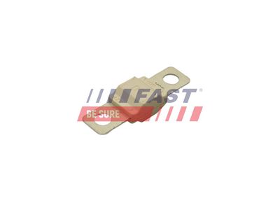 Pojistka FAST FT83405