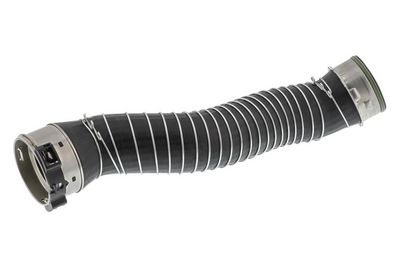 FURTUN EAR SUPRAALIMENTARE TOPRAN 502544