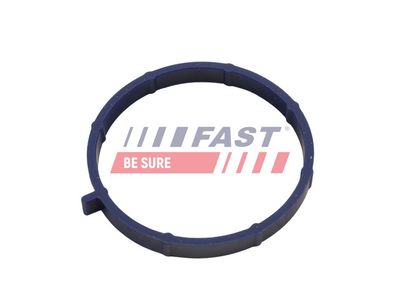 Dichtung, Ansaugkrümmer