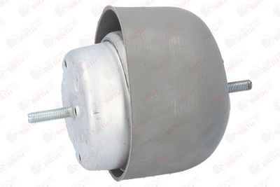 SUPORT MOTOR BIRTH 5915 10