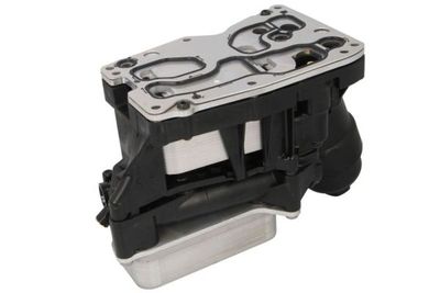 Radiator ulei, ulei motor THERMOTEC D4B035TT