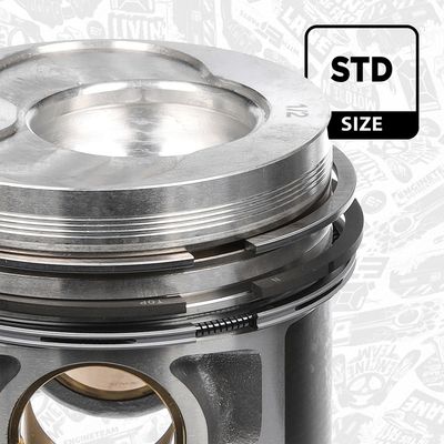 PISTON ET ENGINETEAM PM001800 2