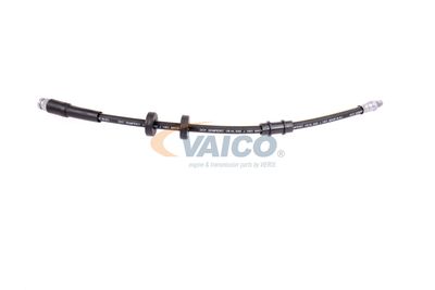 FURTUN FRANA VAICO V240970 26