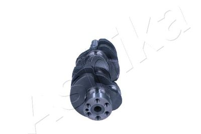 ARBORE COTIT ASHIKA 18DW000 1