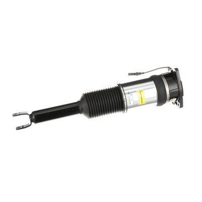 LUFTFEDERBEIN Arnott AS2966 51