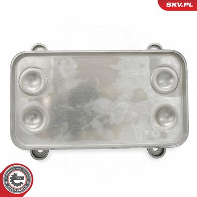 Olejový chladič, motorový olej SKV 31SKV299