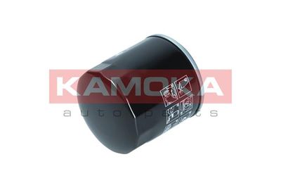 Oil Filter F118501