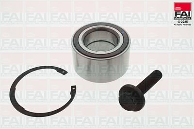 FAI AutoParts Rato guolio komplektas