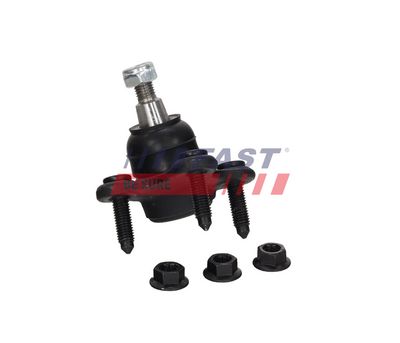 ARTICULATIE PARGHIE COT