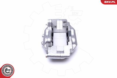 Brake Caliper 50SKV001