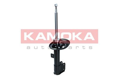 Shock Absorber 2000500