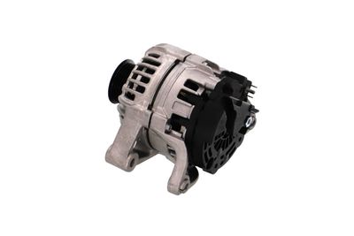 GENERATOR / ALTERNATOR REMANTE 011003000418R 19