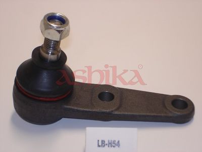 ASHIKA Šarnyras / girgždukas