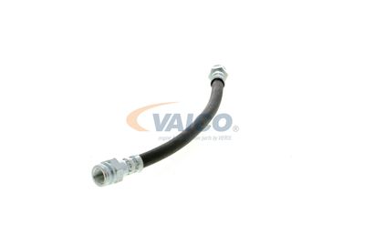 FURTUN FRANA VAICO V102309 17