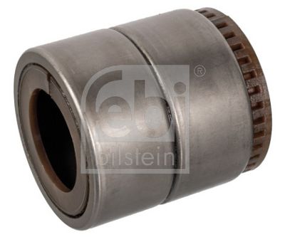 LAGER ACHSSCHENKEL FEBI BILSTEIN 01250 1