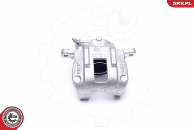 Brake Caliper 45SKV661