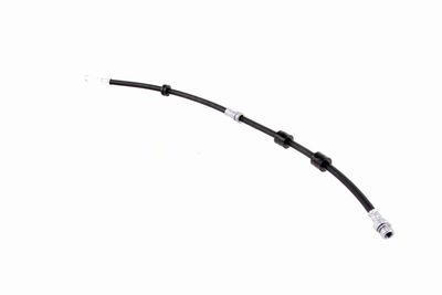 FURTUN FRANA VAICO V220619 2