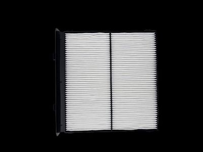 FILTER INNENRAUMLUFT CORTECO 49274696 1