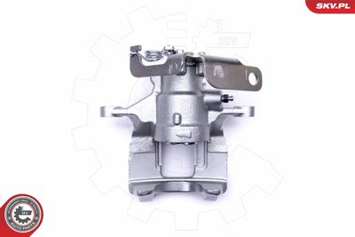 Brake Caliper 50SKV033