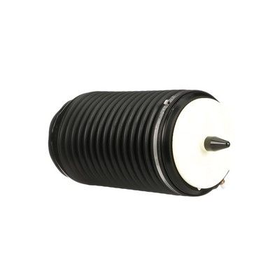 LUFTFEDER FAHRWERK Arnott A3295 7