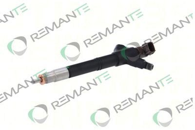 INJECTOR REMANTE 002003001395R 5