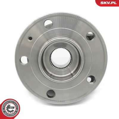 Ložisko kola, sada ESEN SKV 29SKV306