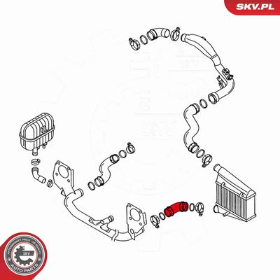 FURTUN EAR SUPRAALIMENTARE ESEN SKV 24SKV116 2