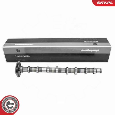 AX CU CAME ESEN SKV 80SKV012