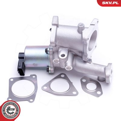 AGR-Ventil ESEN SKV 14SKV166