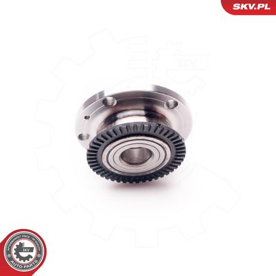 SET RULMENT ROATA ESEN SKV 29SKV069 4