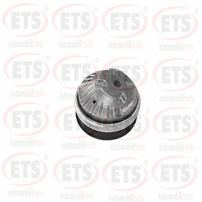 окачване, двигател ETS 15.EM.110