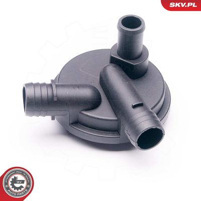 Vožtuvas, variklio bloko alsuoklis