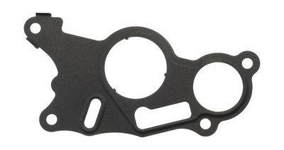 GARNITURA POMPA VACUUM