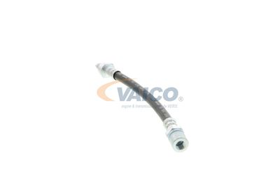FURTUN FRANA VAICO V404107 20