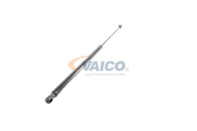 GASFEDER KOFFER-/LADERAUM VAICO V401152 52