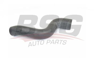 BSG BSG 15-720-107 Турбина  для LAND ROVER RANGE ROVER III (L322) 3.6 D 4x4