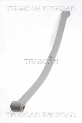 Paket pružin TRISCAN 8765 29019
