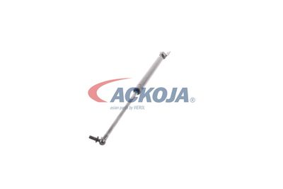 AMORTIZOR PORTBAGAJ ACKOJA A320095 27