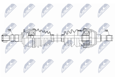 PLANETARA NTY NPWPL175